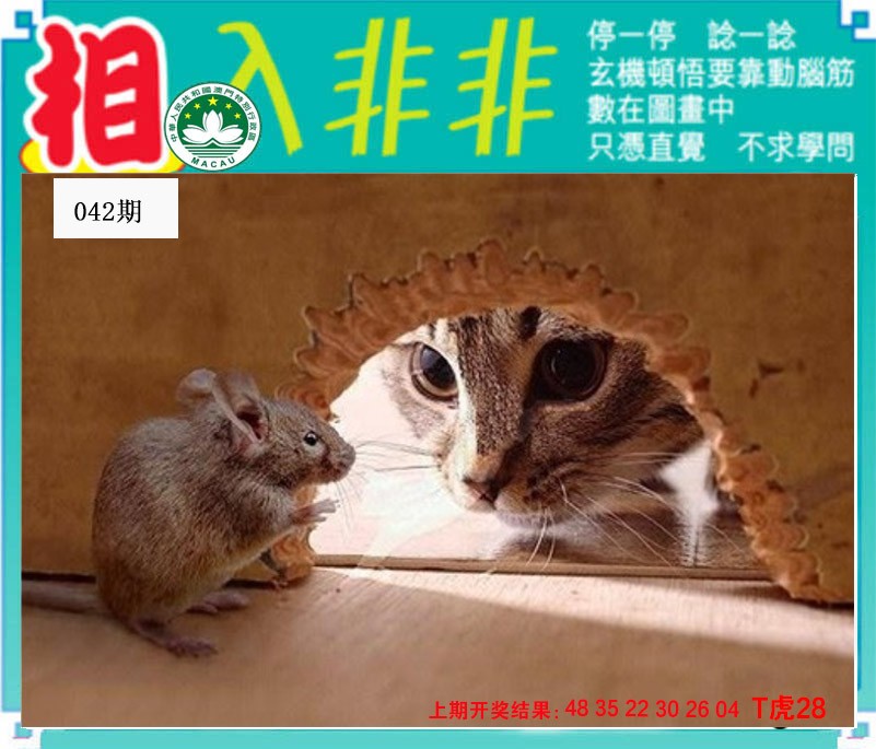 2025042期相入非非