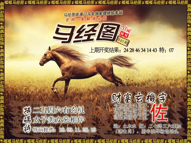 2025045期马经10