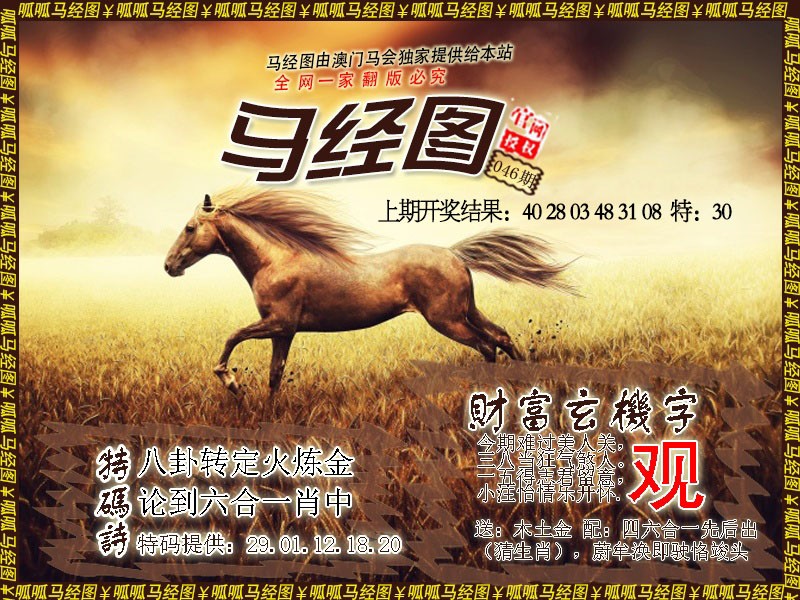 2025046期马经10