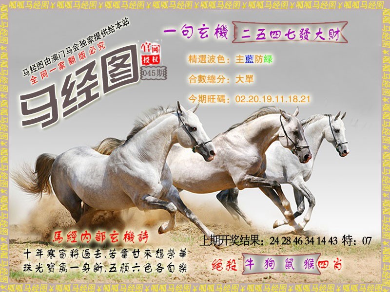 2025045期马经6