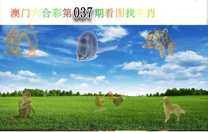 2025037期看图找生肖