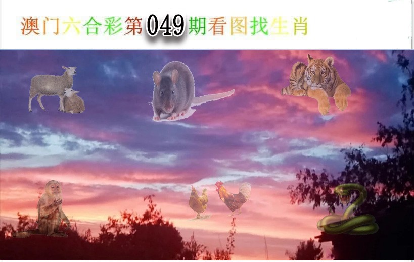 2025049期看图找生肖
