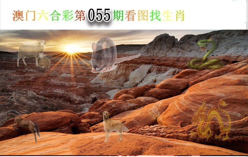 2025055期看图找生肖