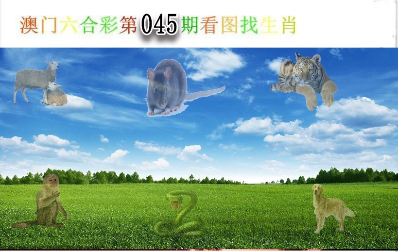 2025045期看图找生肖