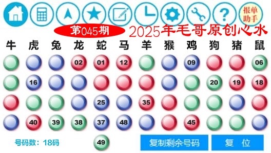 2025045期毛哥心水