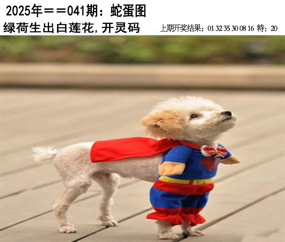 2025041期另版蛇蛋图