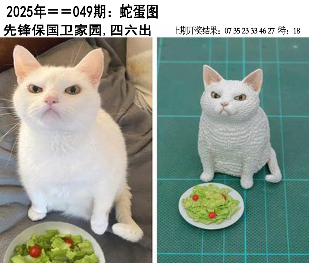 2025049期另版蛇蛋图