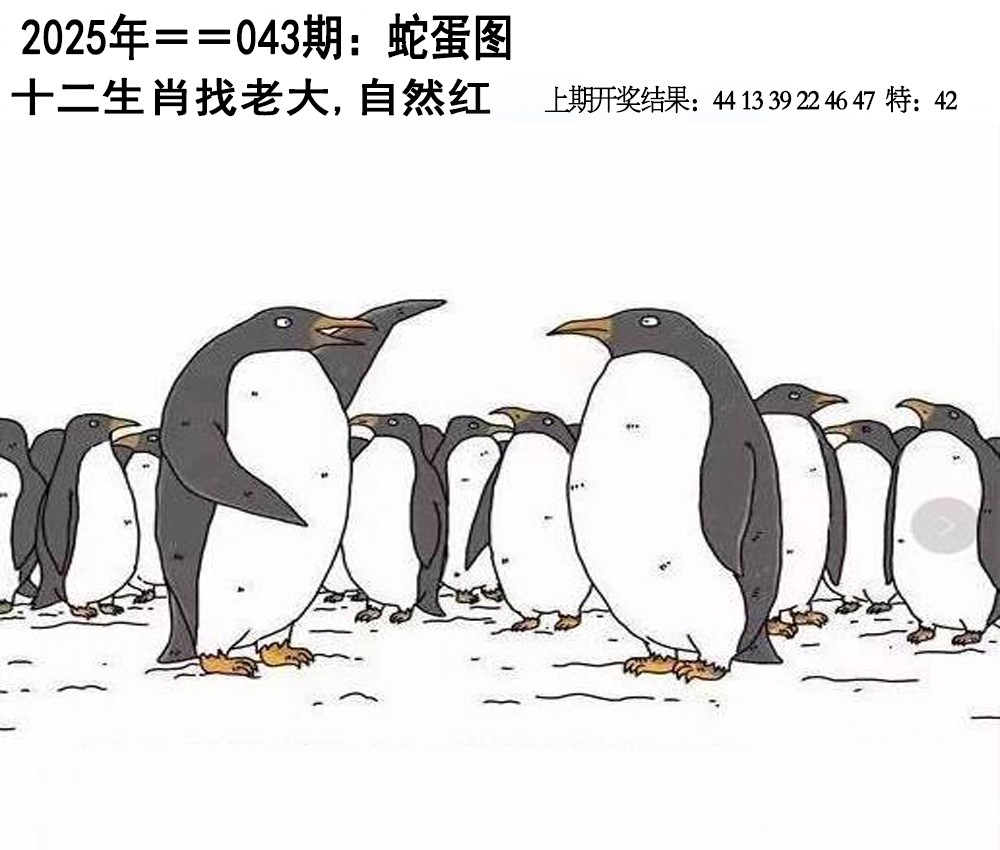 2025043期另版蛇蛋图
