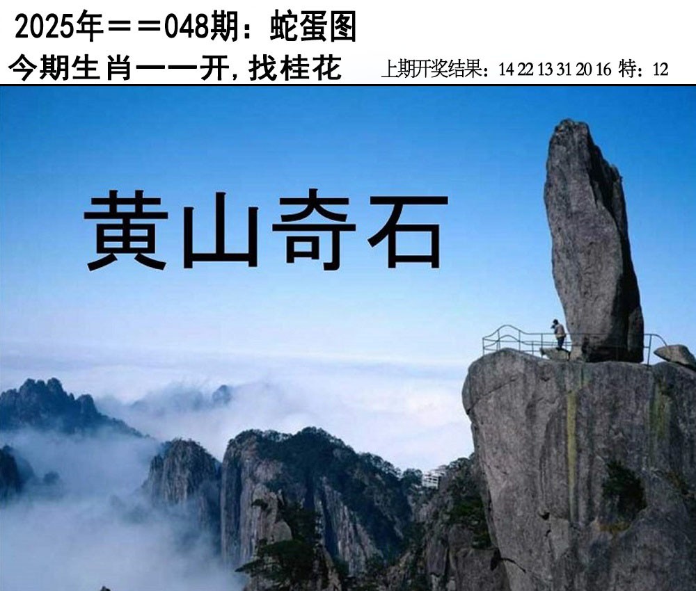2025048期另版蛇蛋图