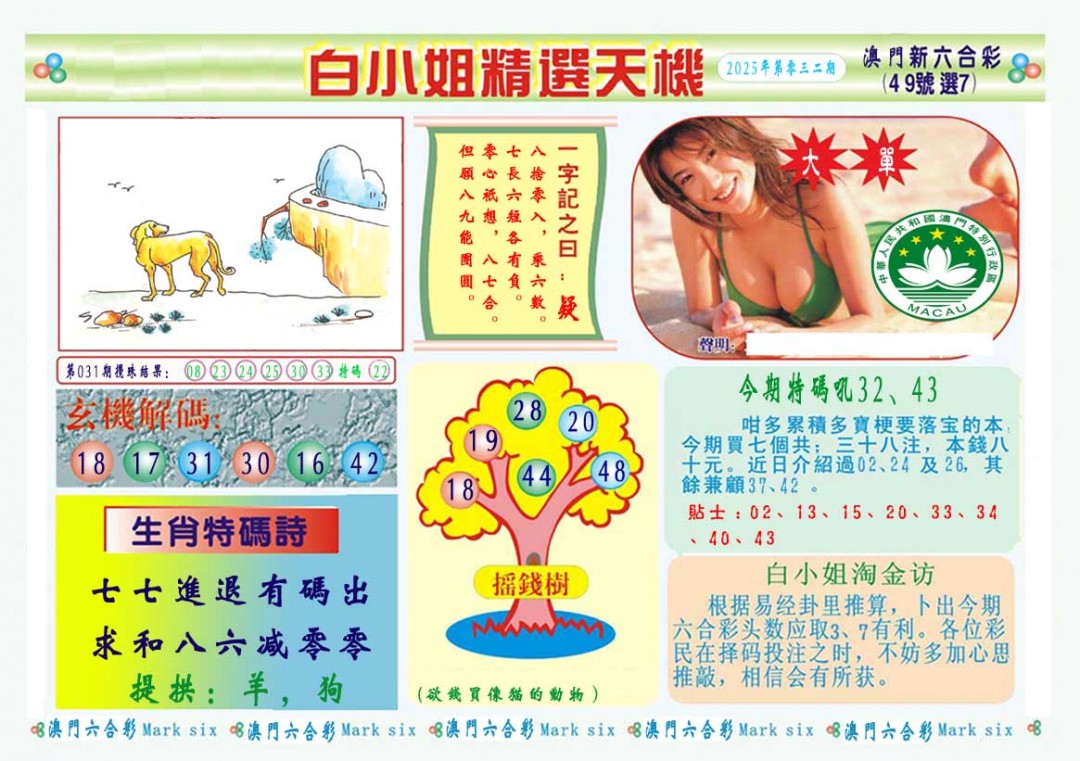 2025032期白小姐精选玄机A