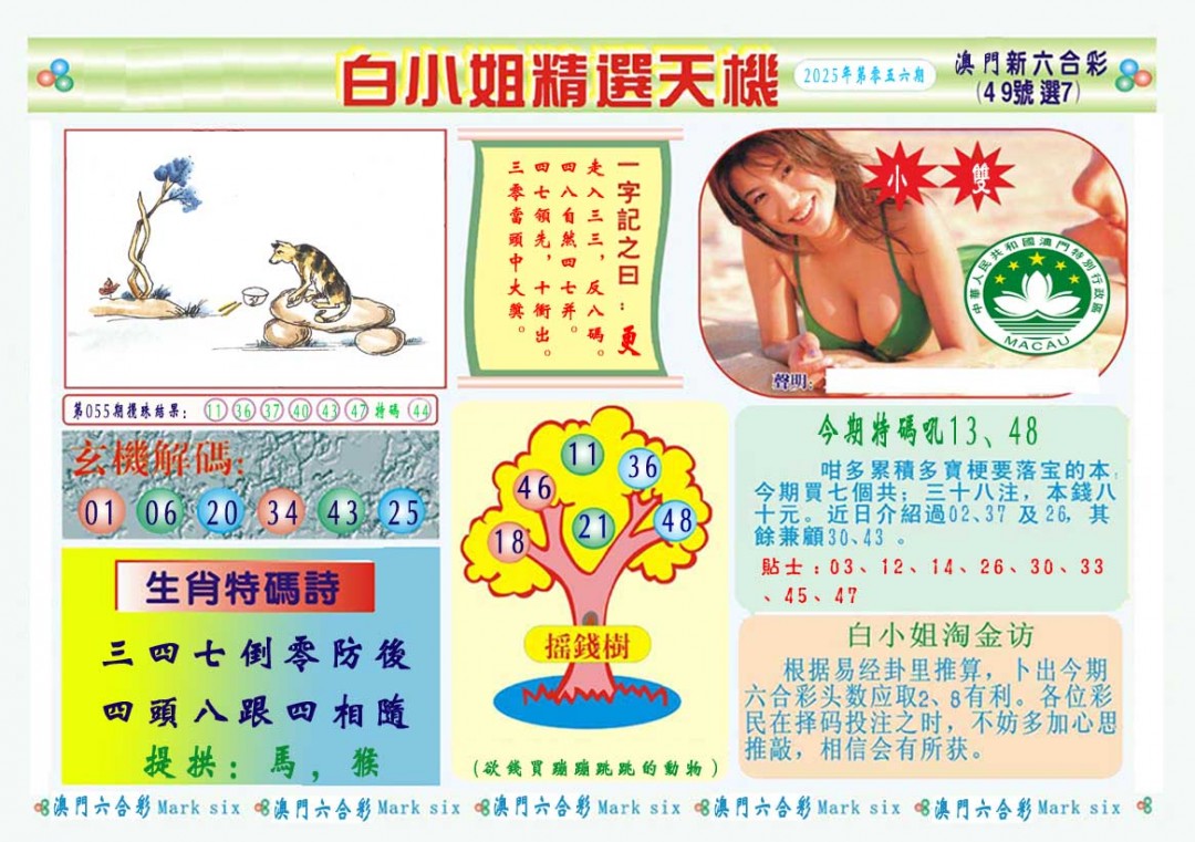 2025056期白小姐精选玄机A