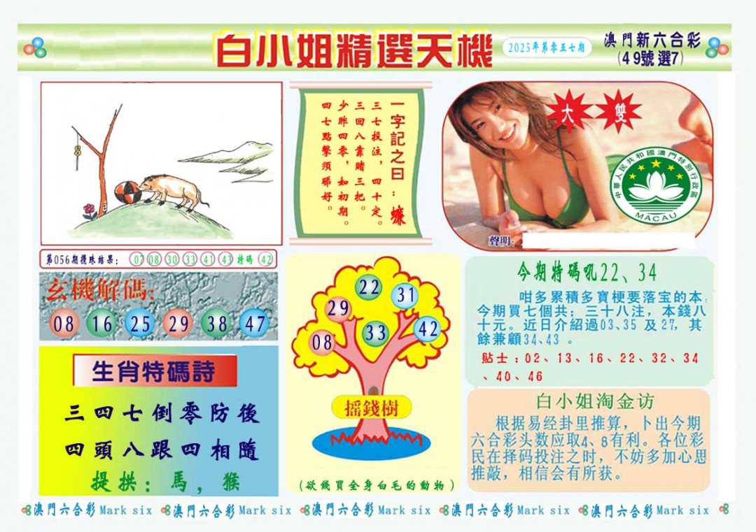 2025057期白小姐精选玄机A
