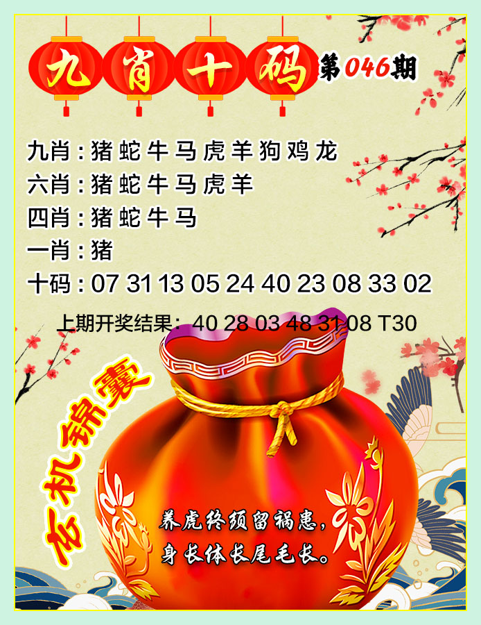 2025046期九肖十码