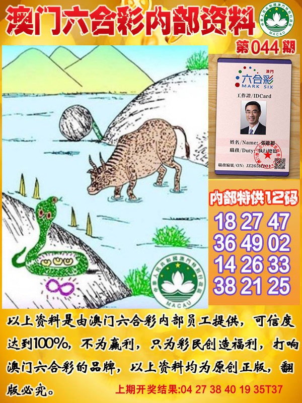 2025044期六合内部资料