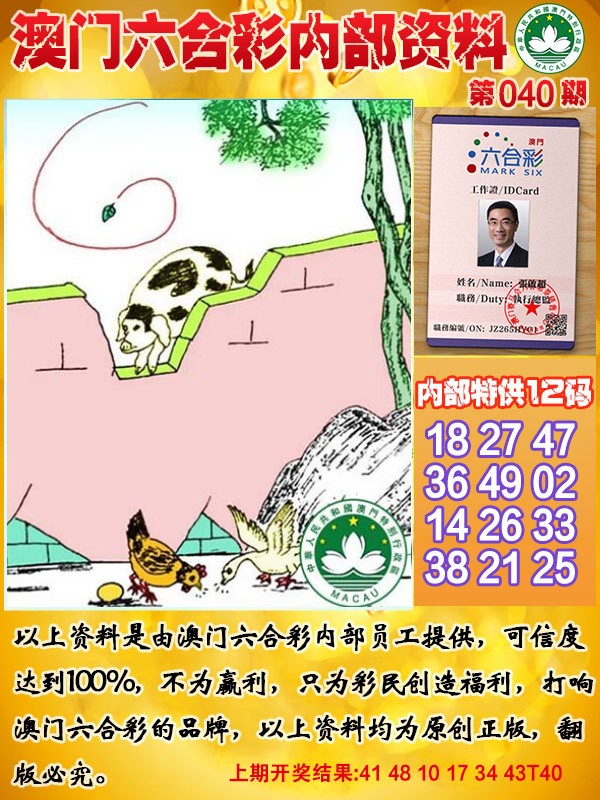 2025040期六合内部资料
