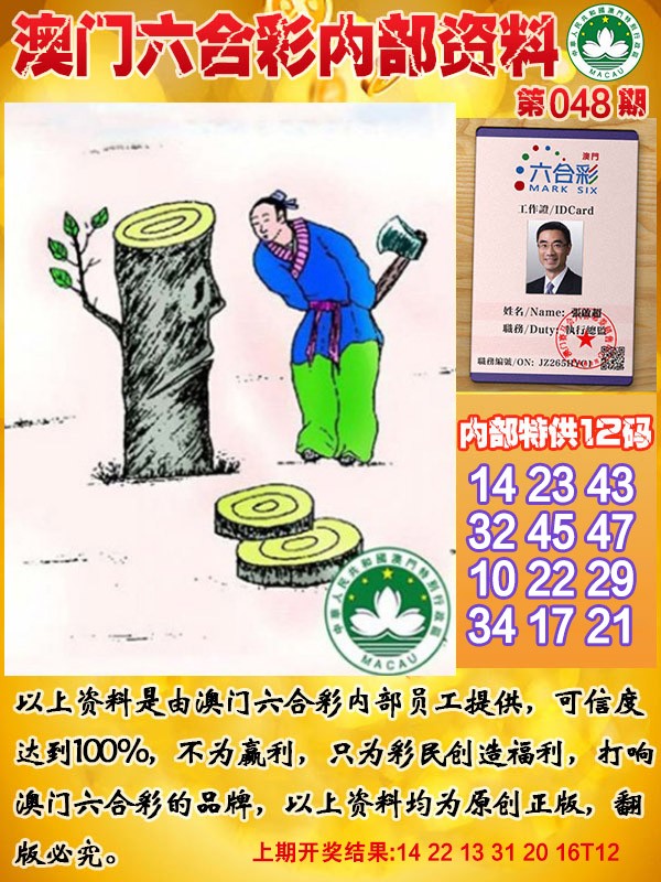 2025048期六合内部资料