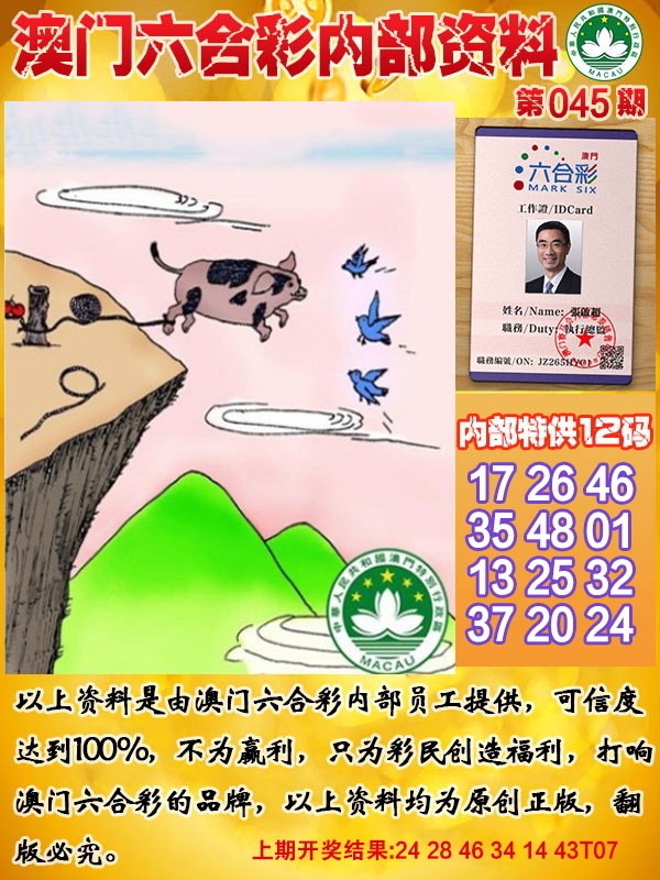 2025045期六合内部资料