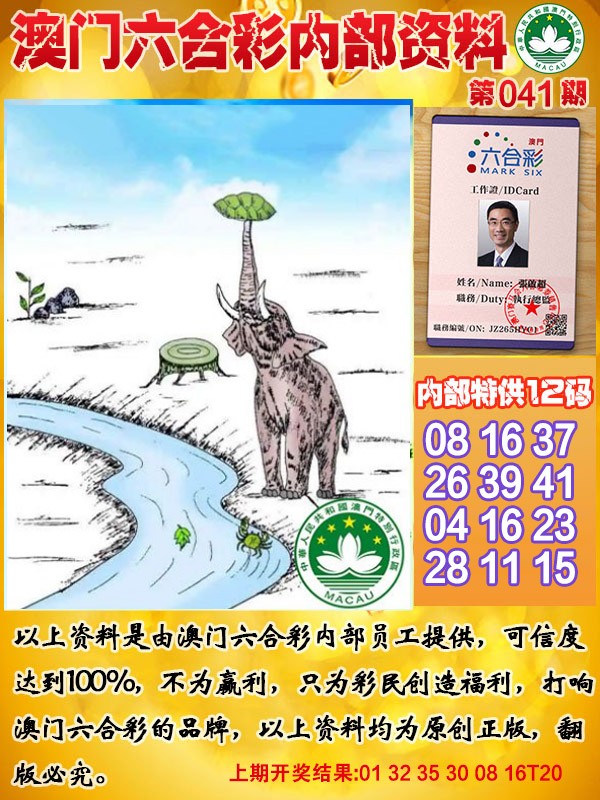 2025041期六合内部资料