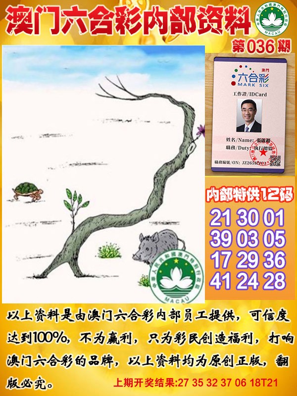 2025036期六合内部资料
