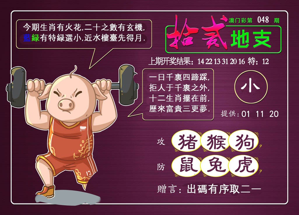 2025048期十二地支