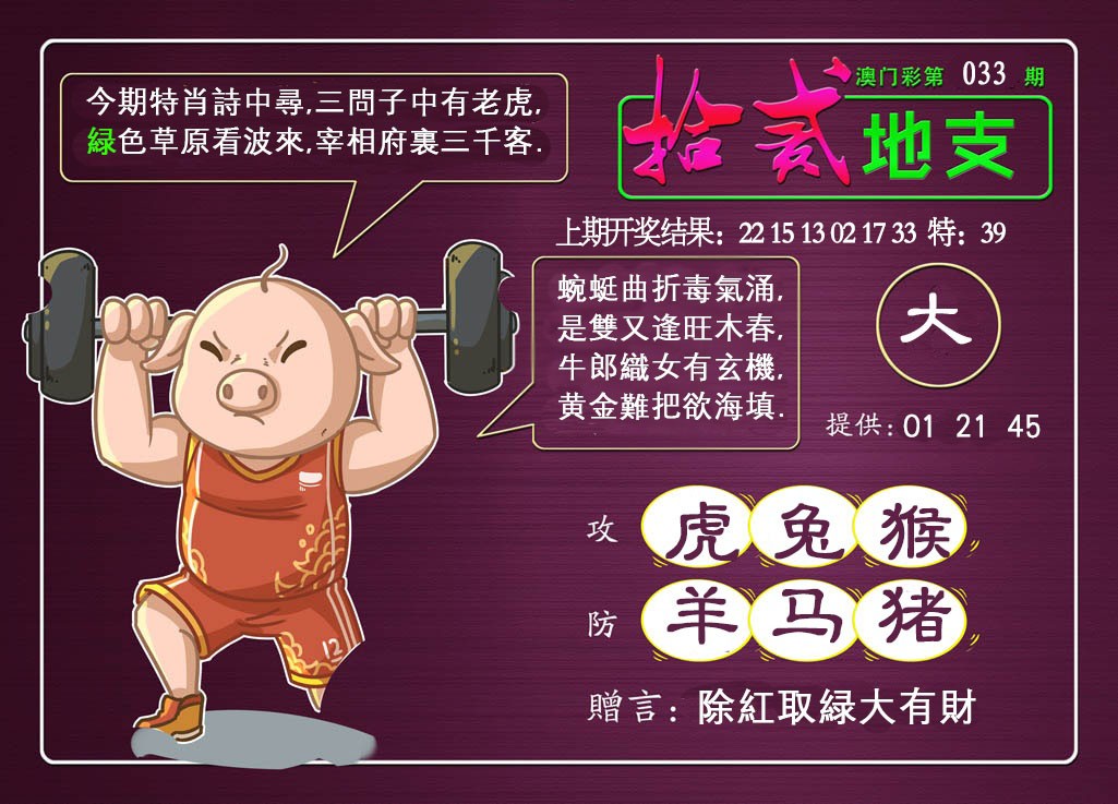 2025033期十二地支