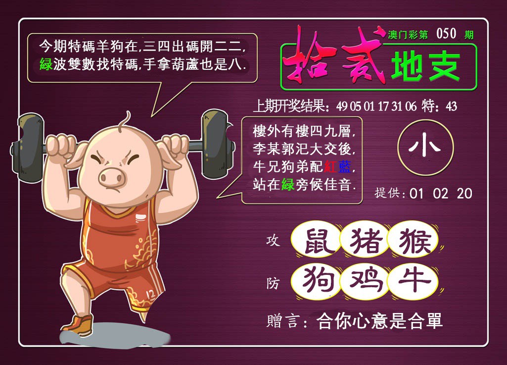 2025050期十二地支