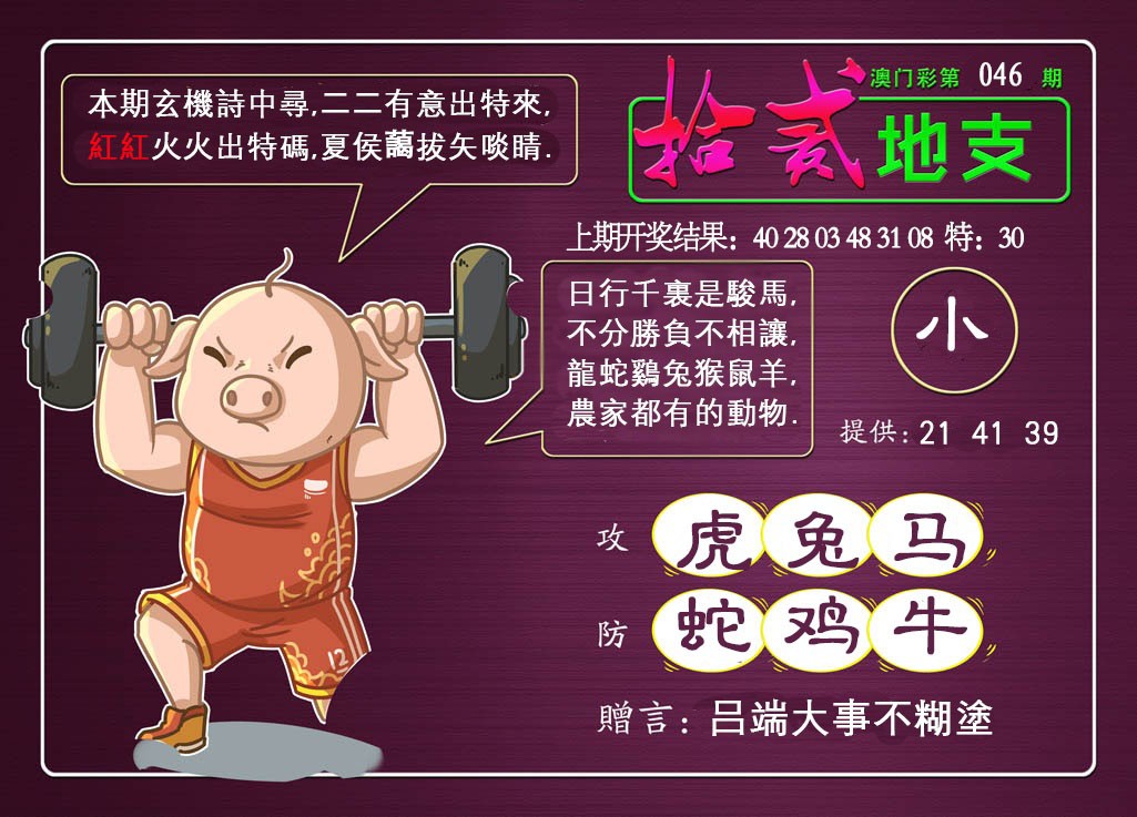 2025046期十二地支
