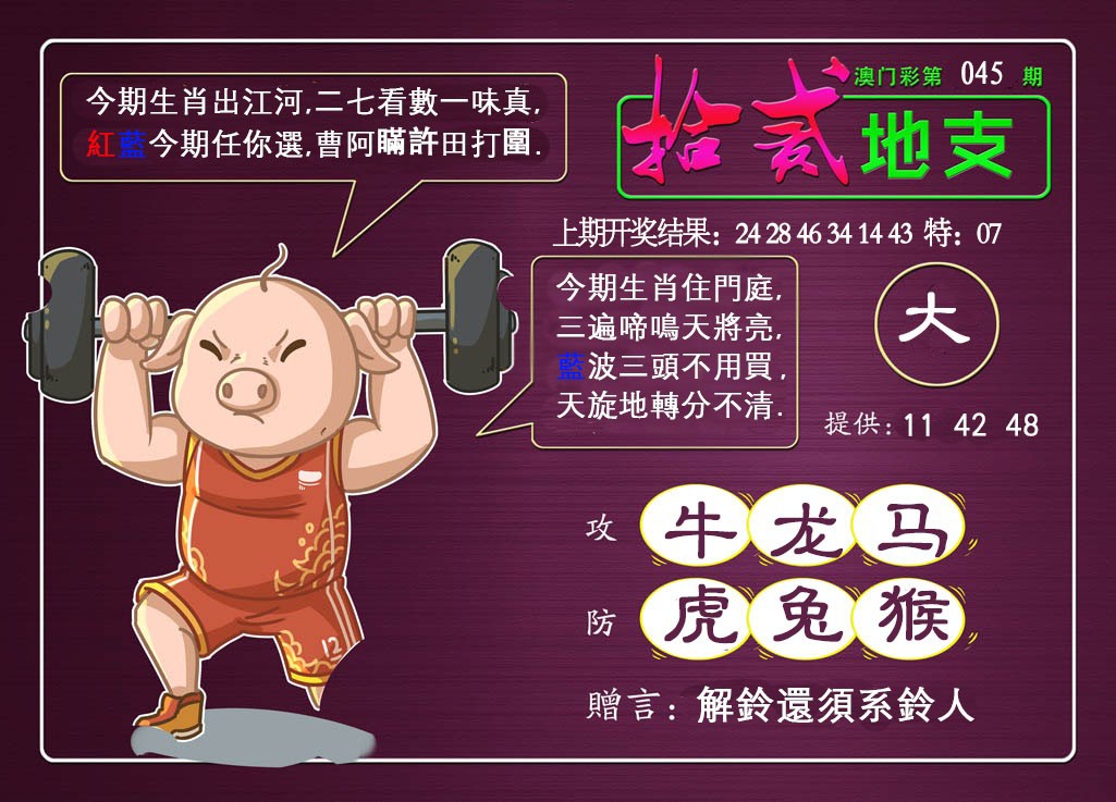 2025045期十二地支