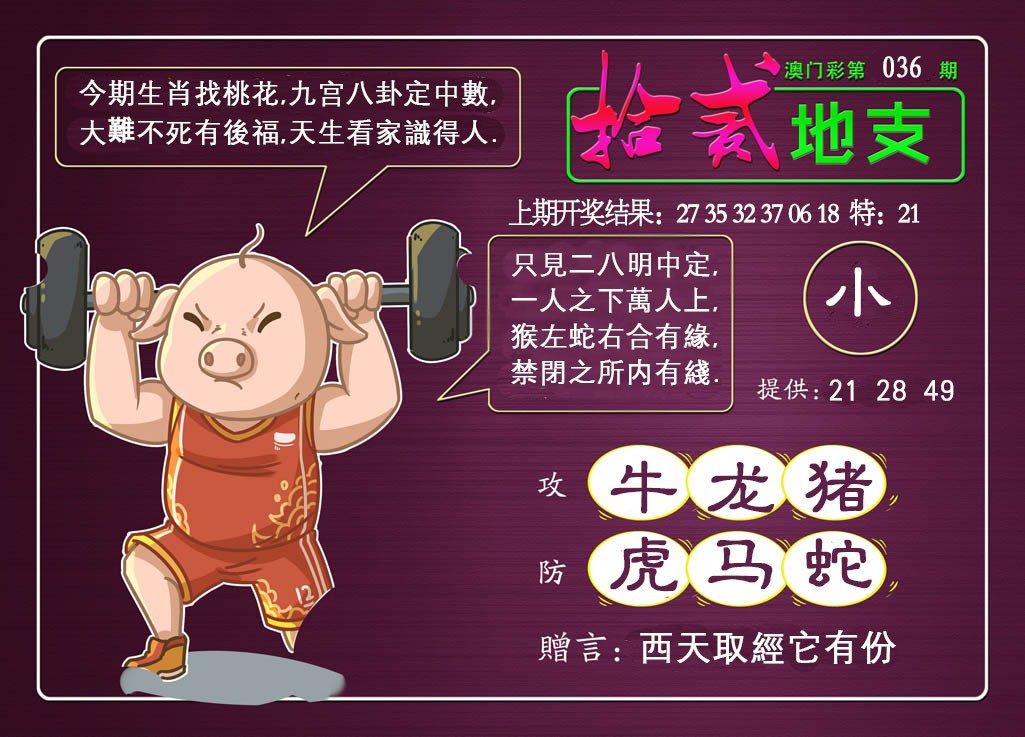 2025036期十二地支