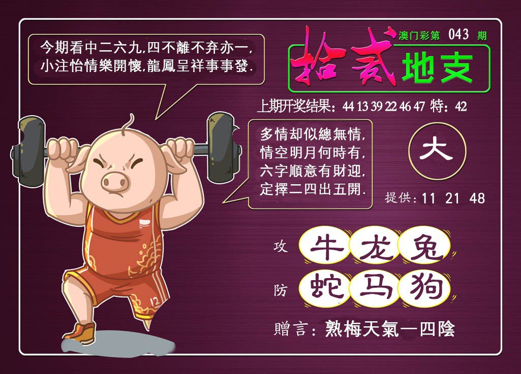 2025043期十二地支