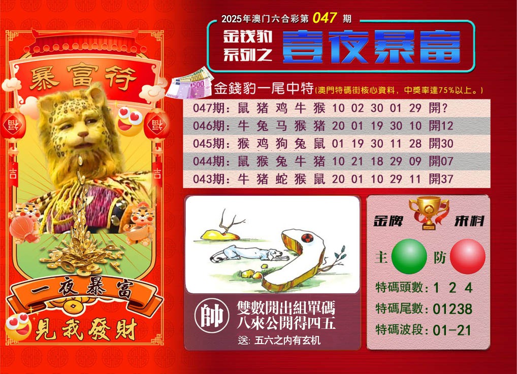 2025047期一夜暴富