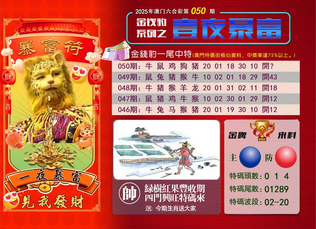 2025050期一夜暴富