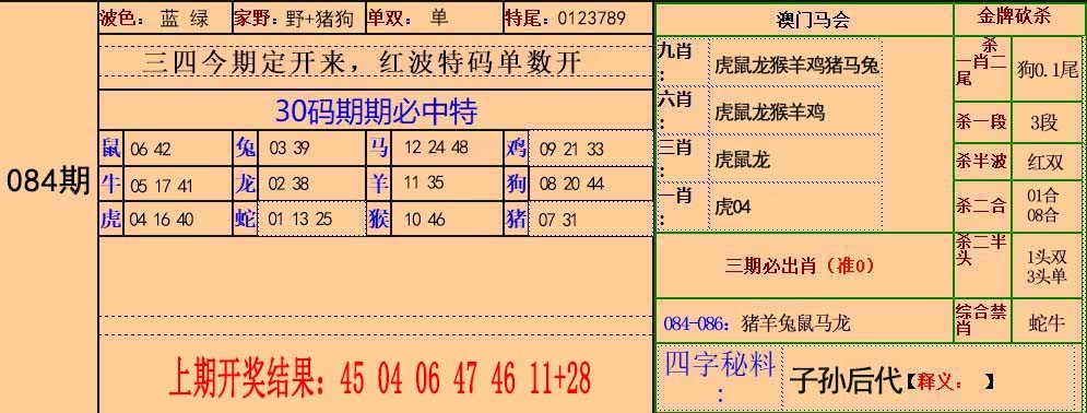 2025084期30码中特