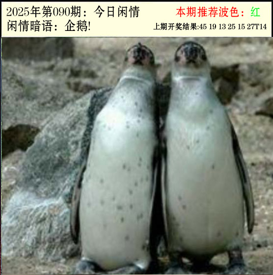 2025090期今日闲情2