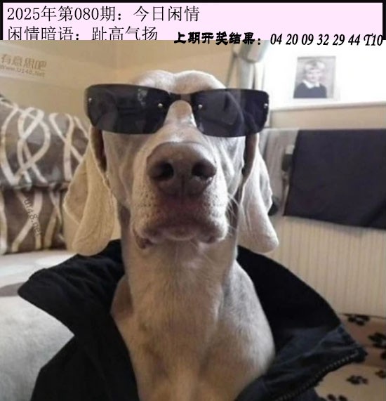2025080期今日闲情