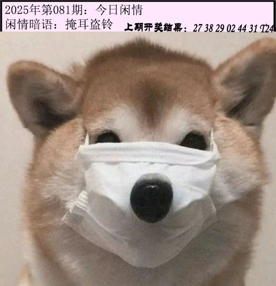 2025081期今日闲情
