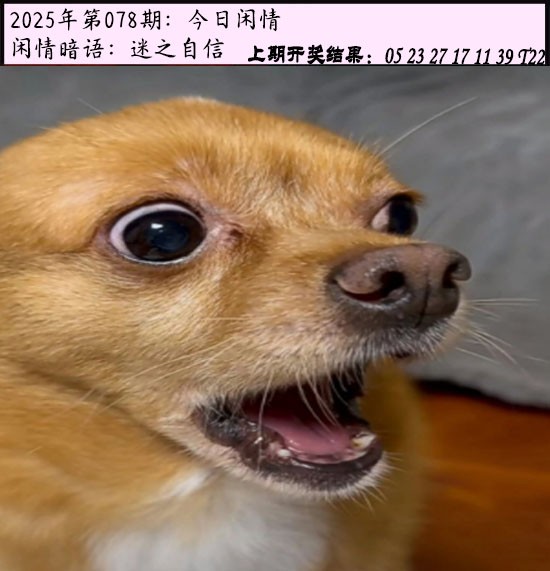 2025078期今日闲情