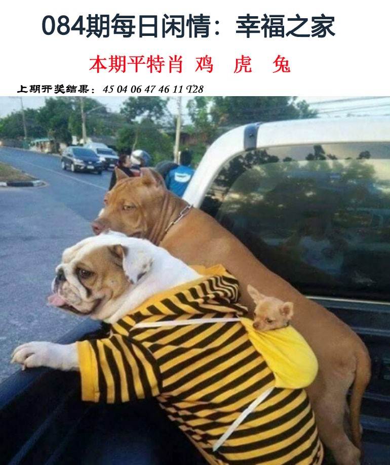 2025084期每日闲情