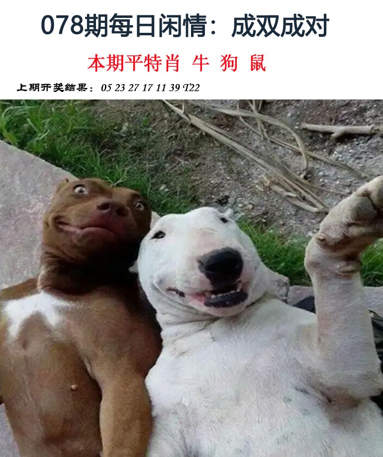 2025078期每日闲情