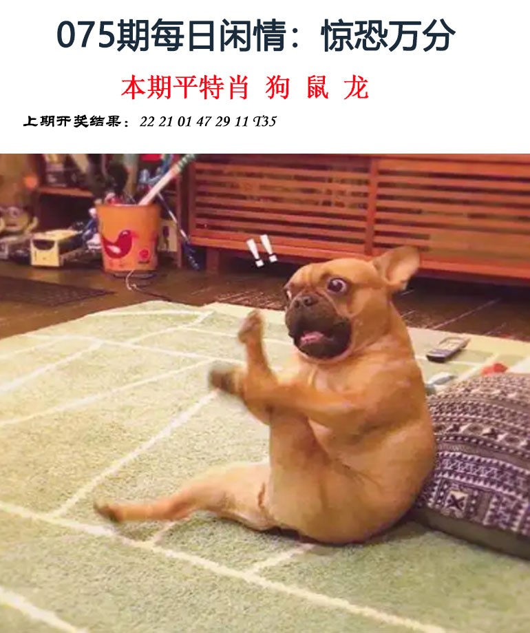 2025075期每日闲情