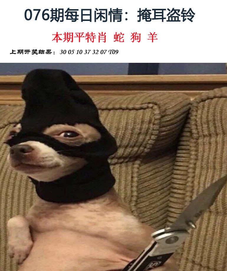 2025076期每日闲情