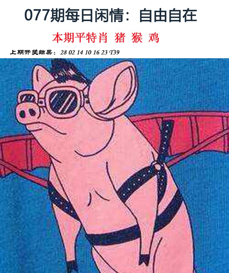 2025077期每日闲情