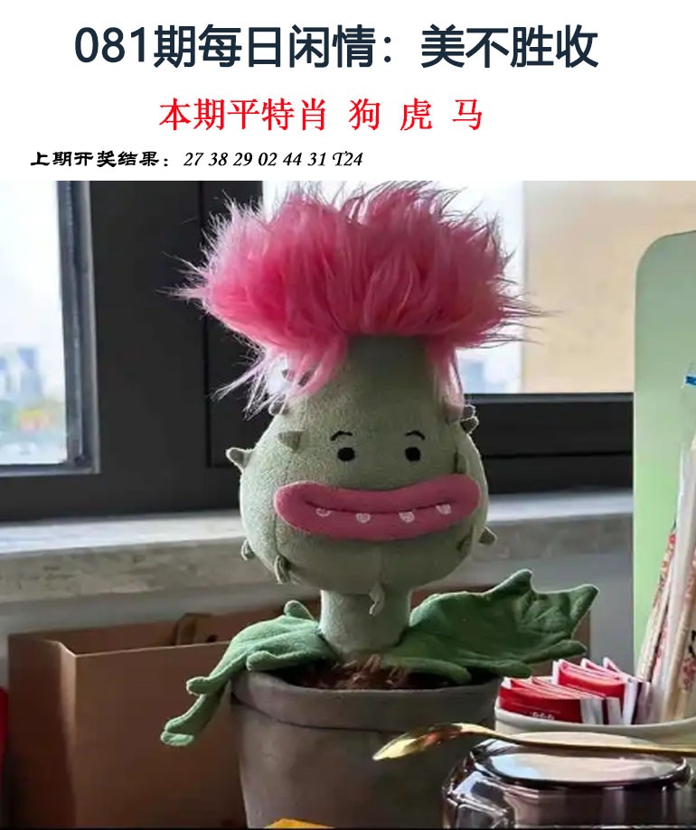 2025081期每日闲情