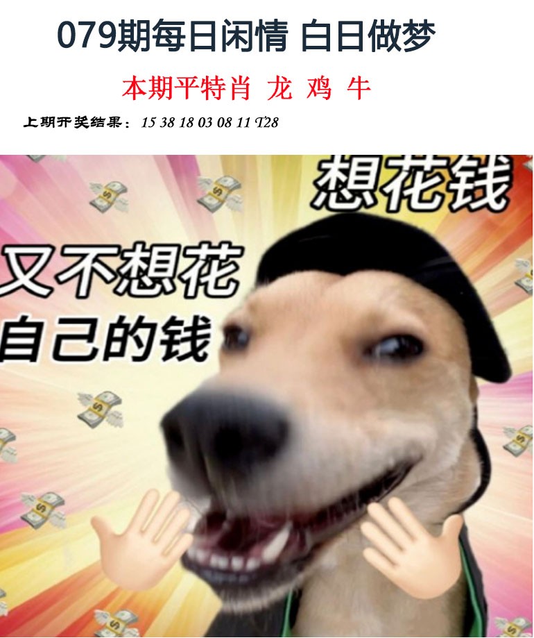 2025079期每日闲情