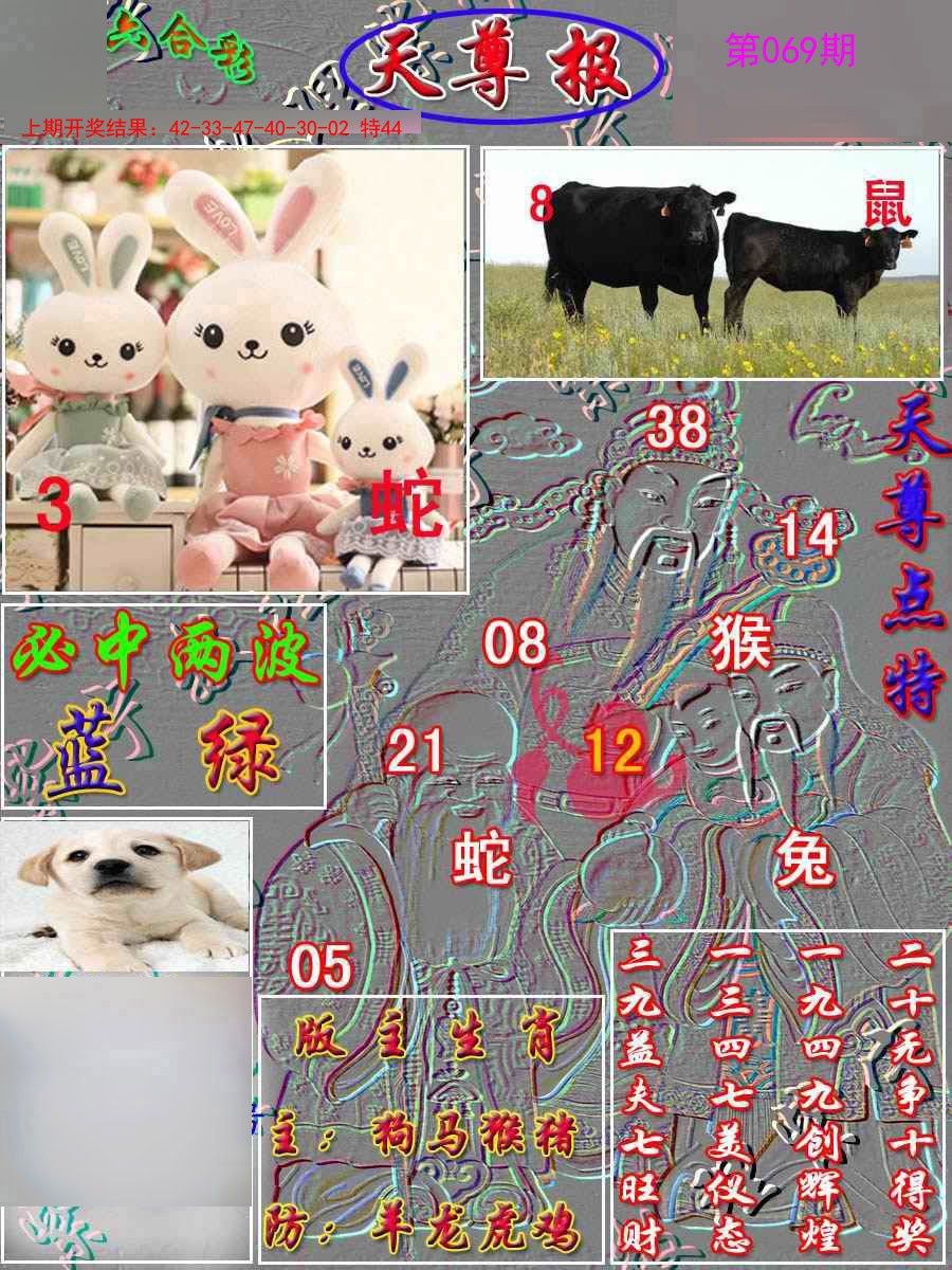 2025069期天尊报