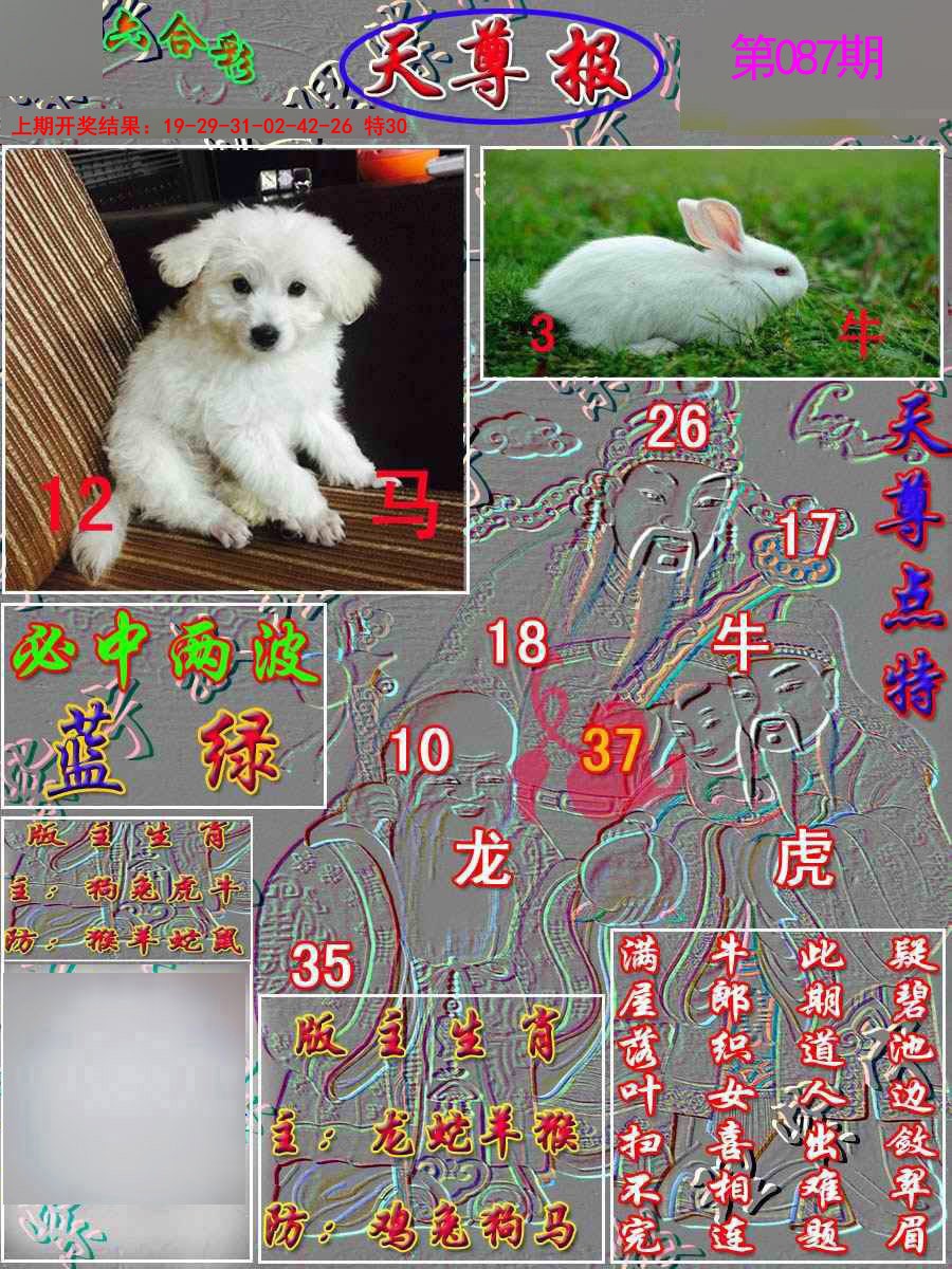 2025087期天尊报