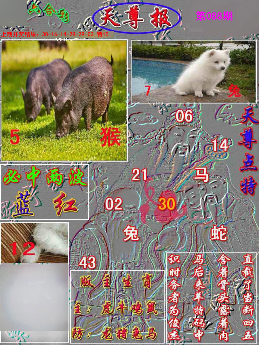 2025088期天尊报