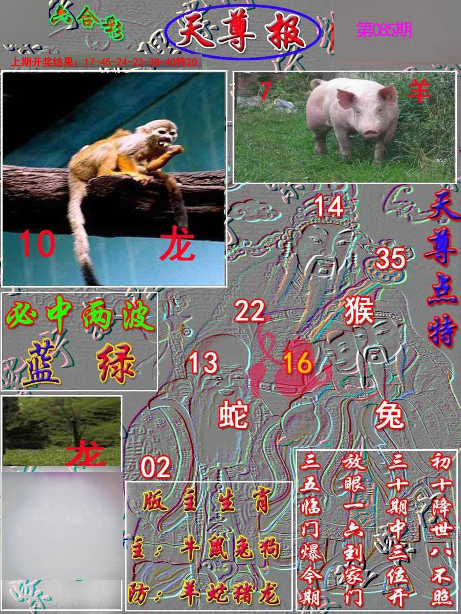 2025085期天尊报