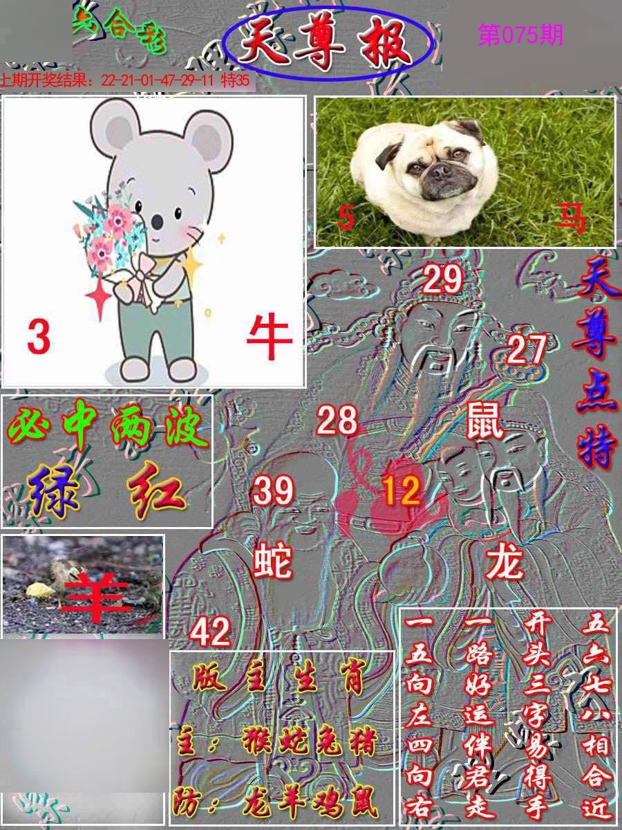 2025075期天尊报