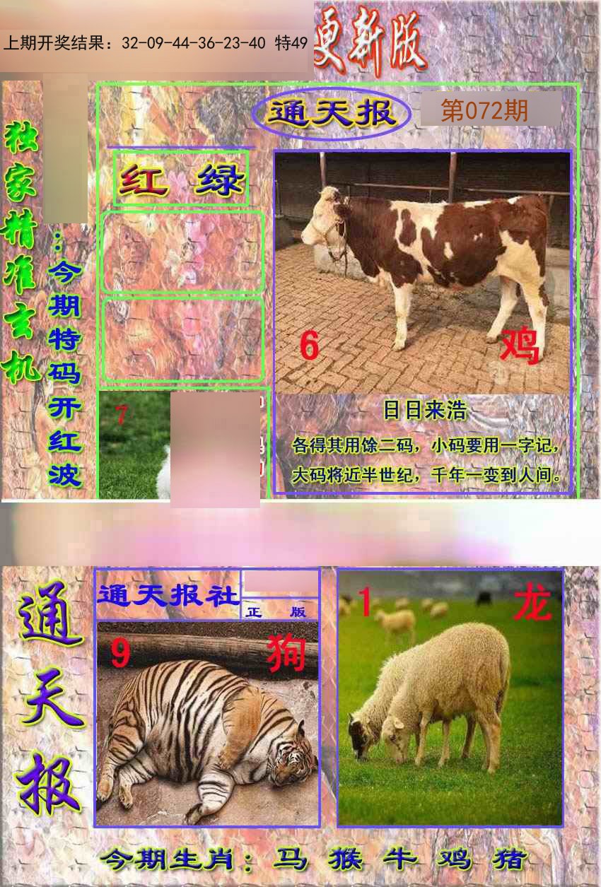 2025072期新通报